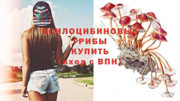 ешки Абдулино