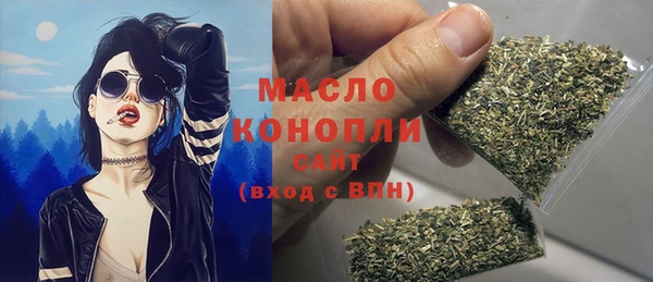 твердый Новозыбков