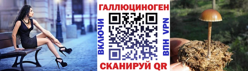 где купить Тихорецк OMG онион Галлюциногенные грибы Magic Shrooms